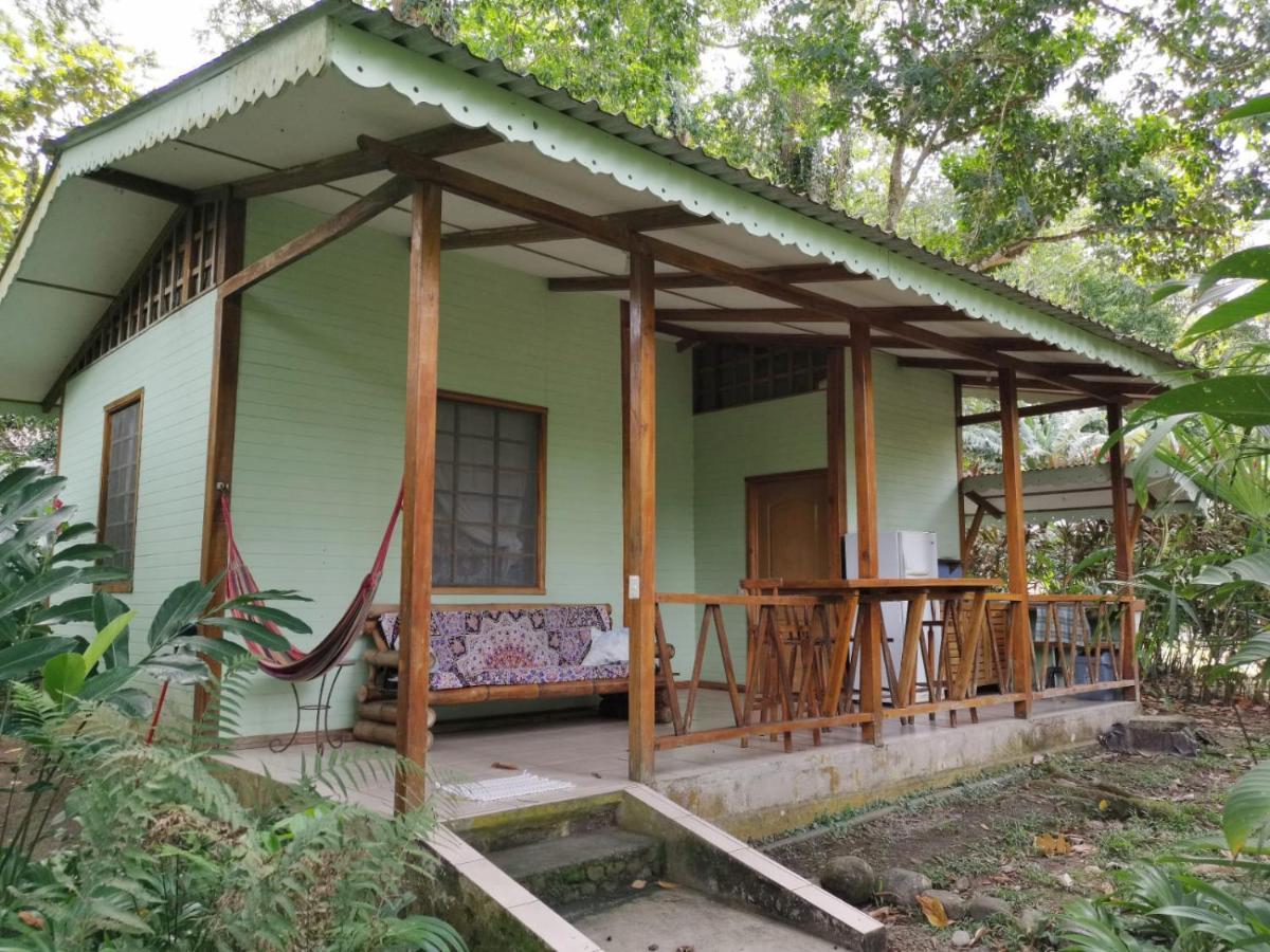 Luna Caribena Village Puerto Viejo de Talamanca 외부 사진