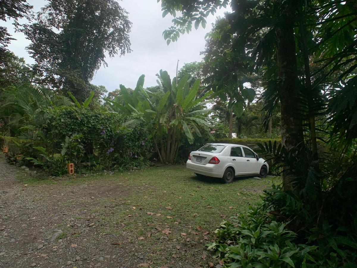 Luna Caribena Village Puerto Viejo de Talamanca 외부 사진