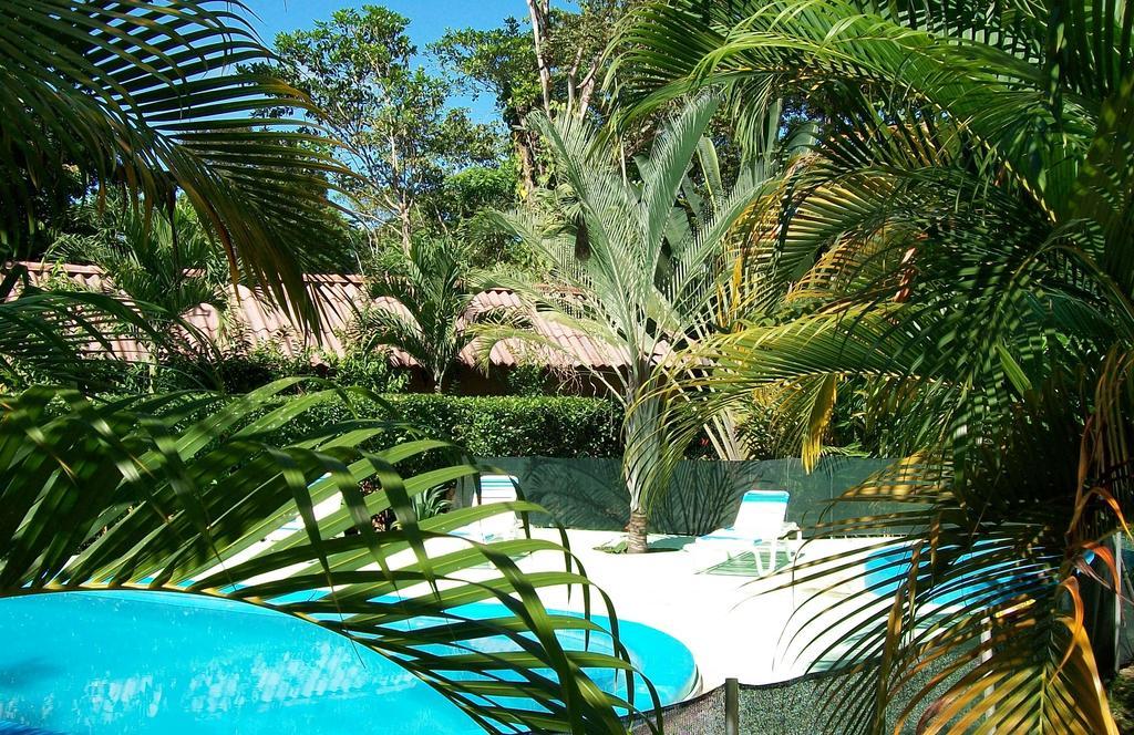 Luna Caribena Village Puerto Viejo de Talamanca 외부 사진