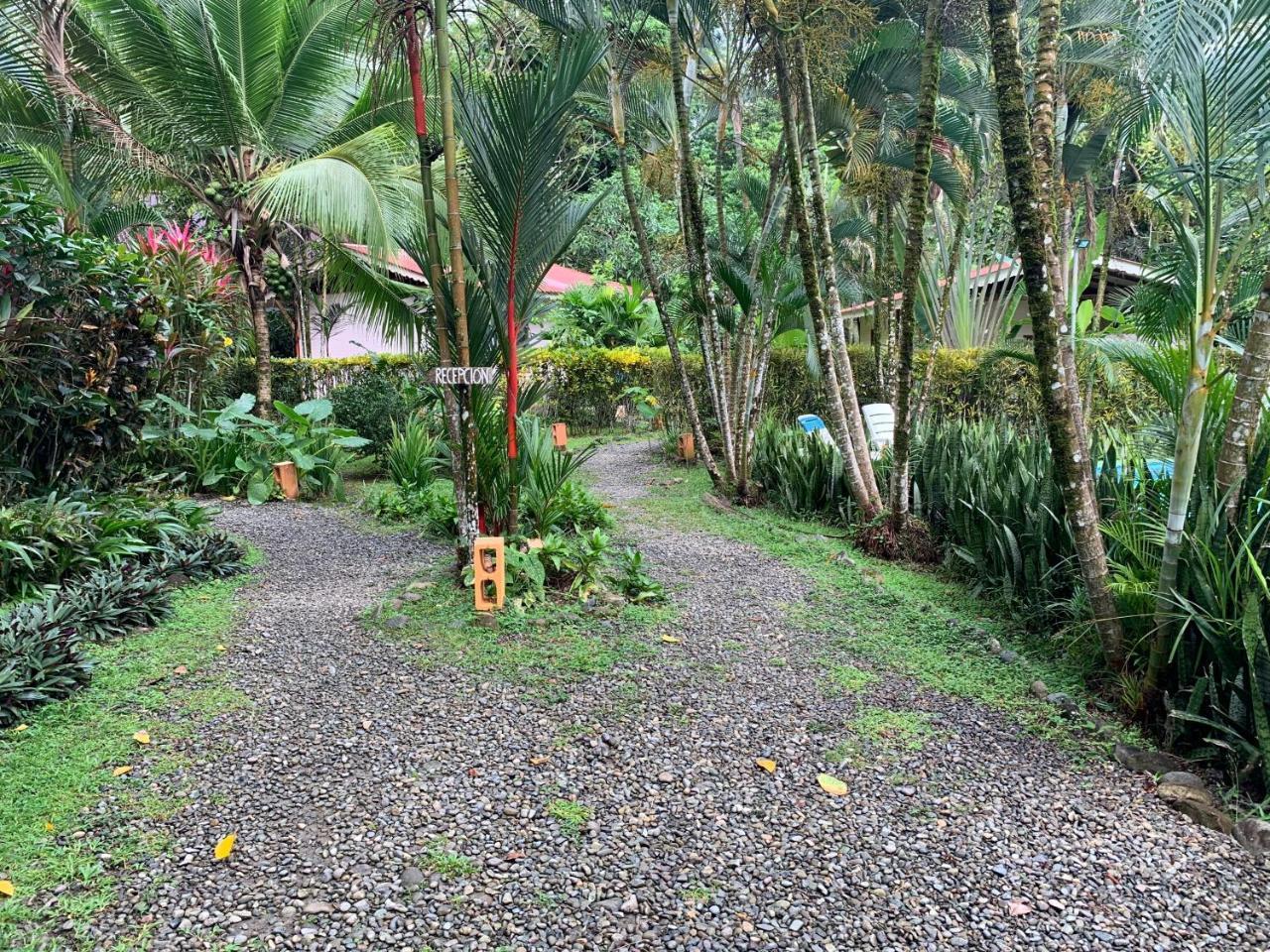 Luna Caribena Village Puerto Viejo de Talamanca 외부 사진