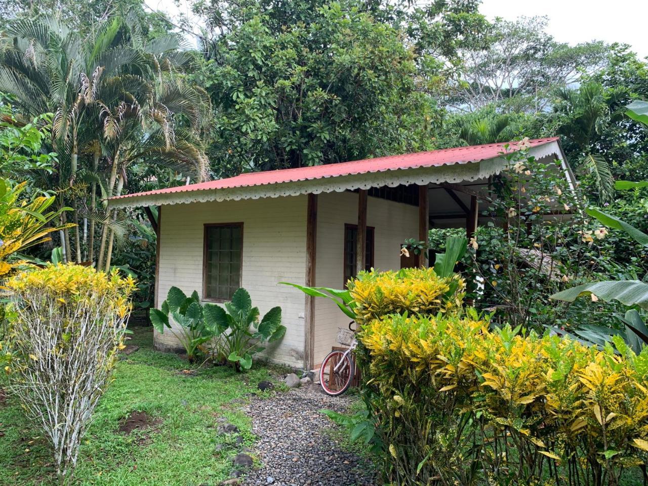 Luna Caribena Village Puerto Viejo de Talamanca 외부 사진