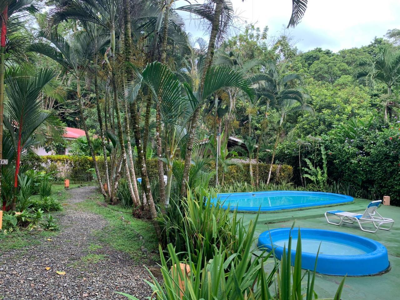 Luna Caribena Village Puerto Viejo de Talamanca 외부 사진