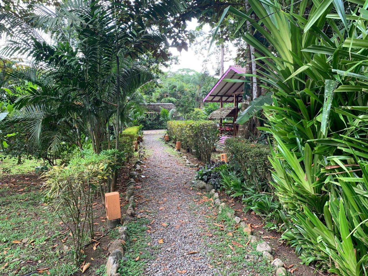 Luna Caribena Village Puerto Viejo de Talamanca 외부 사진