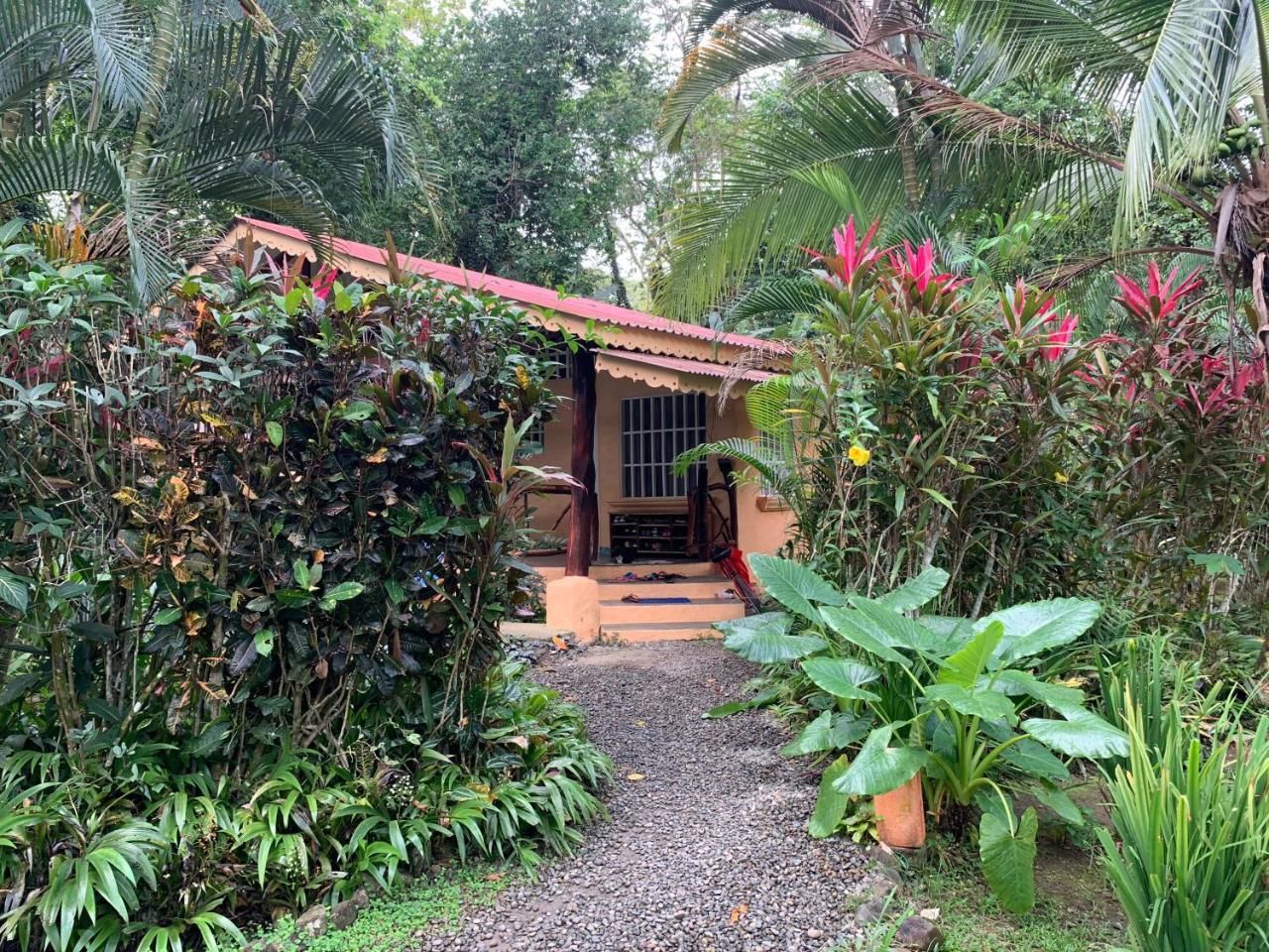 Luna Caribena Village Puerto Viejo de Talamanca 외부 사진