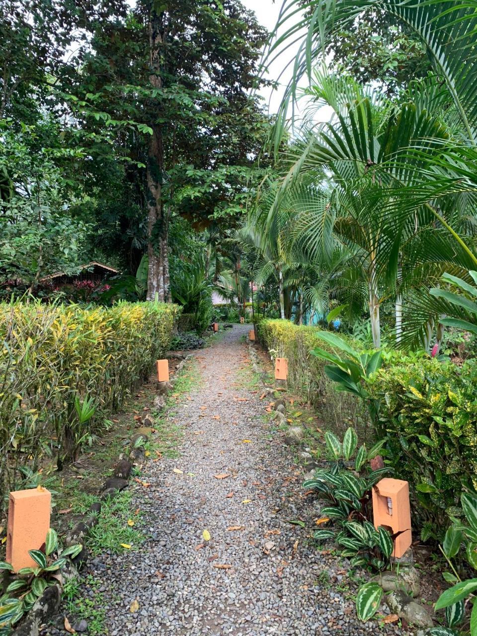 Luna Caribena Village Puerto Viejo de Talamanca 외부 사진