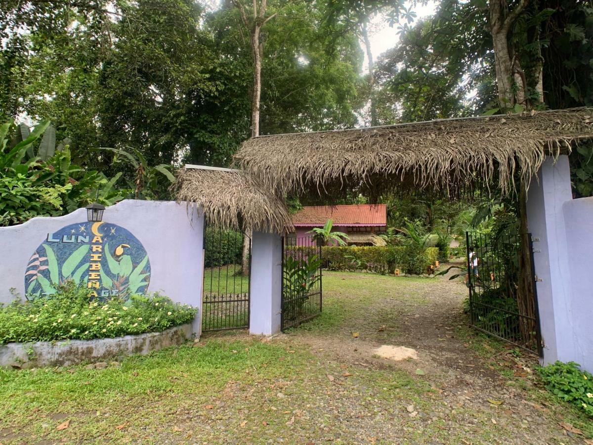 Luna Caribena Village Puerto Viejo de Talamanca 외부 사진
