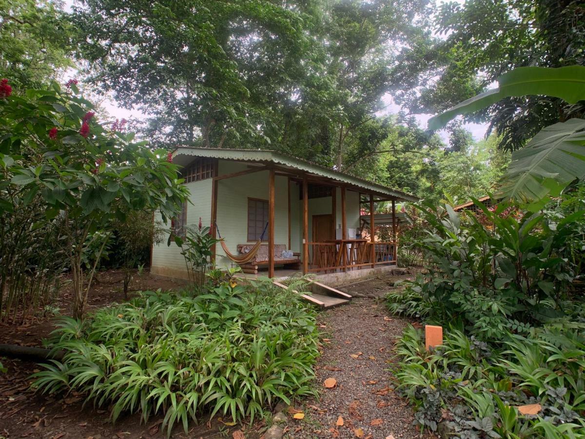 Luna Caribena Village Puerto Viejo de Talamanca 외부 사진