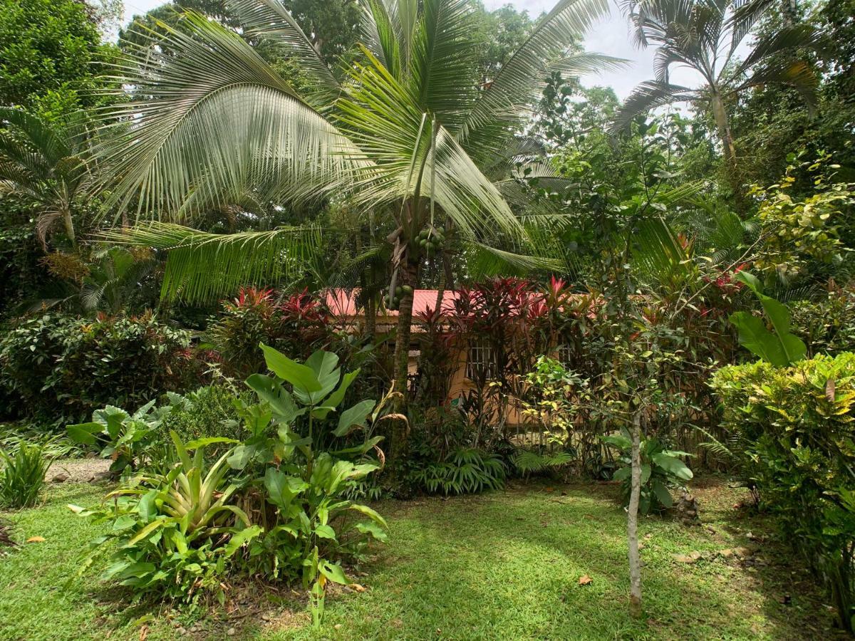Luna Caribena Village Puerto Viejo de Talamanca 외부 사진